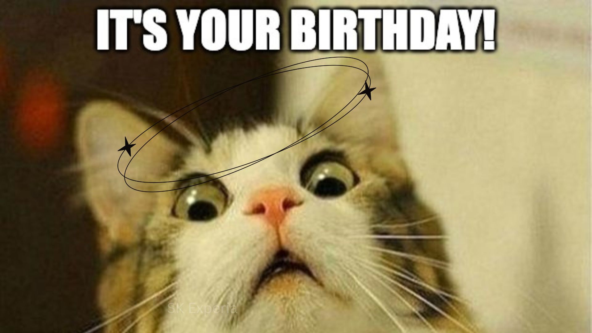 funny birthday memes for coworker